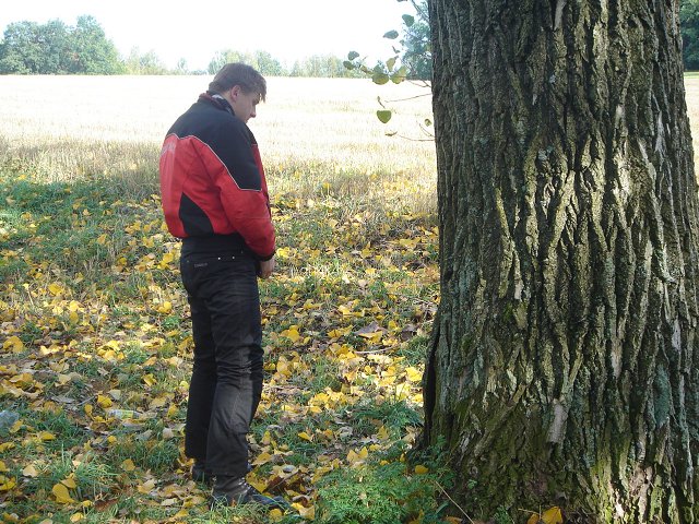 img00015.jpg