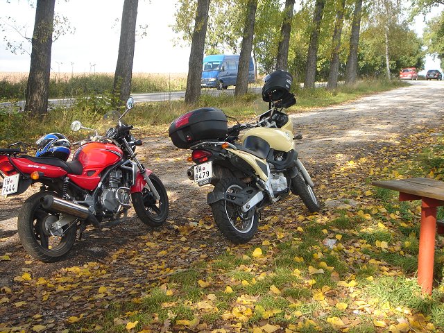 img00019.jpg