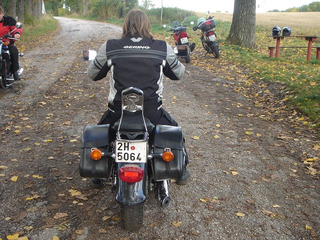 img00026.jpg