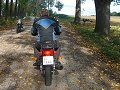 thn00041.jpg