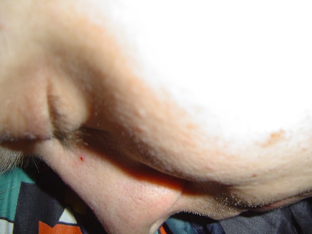 img00020.jpg