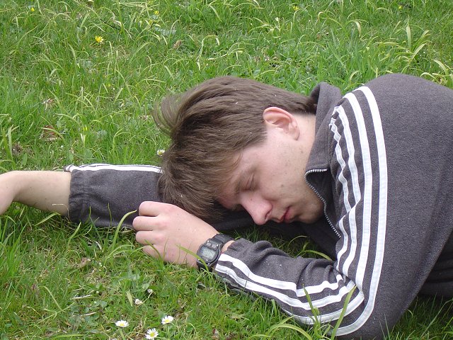img00046.jpg