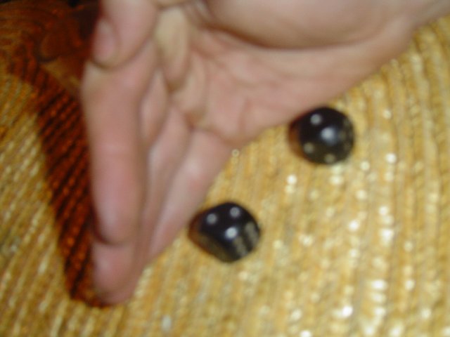 img00070.jpg