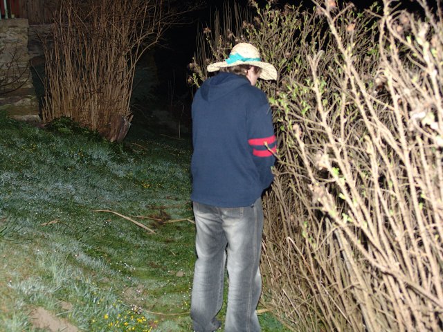 img00112.jpg
