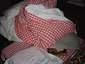 thn00023.jpg