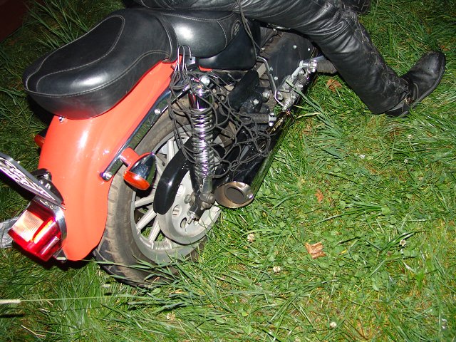 img00065.jpg