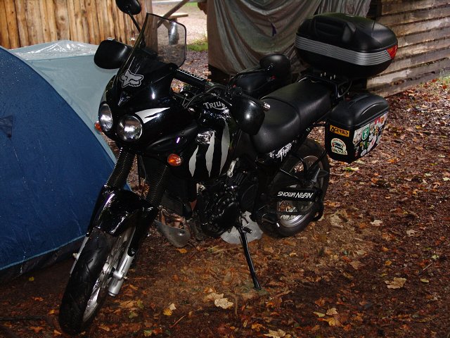 img00110.jpg