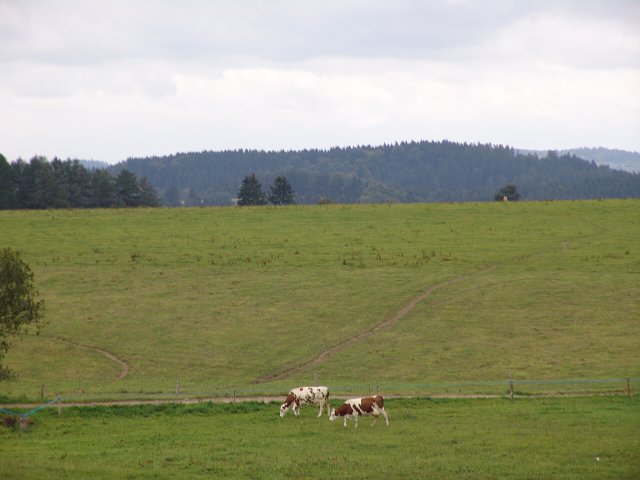 img00160.jpg