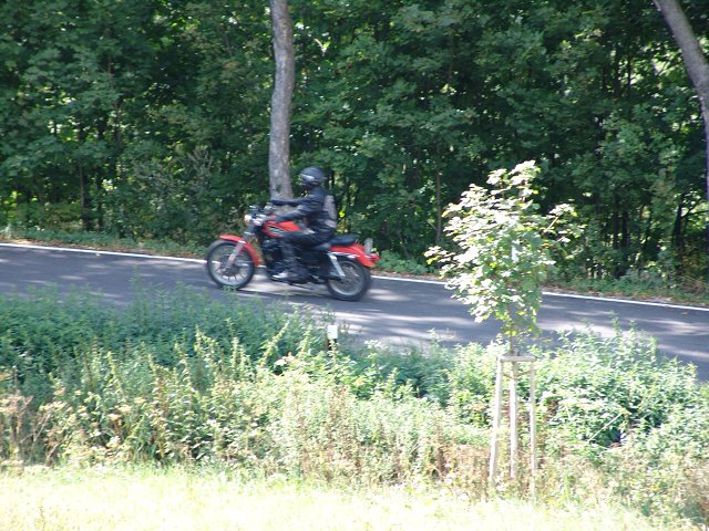 img00188.jpg