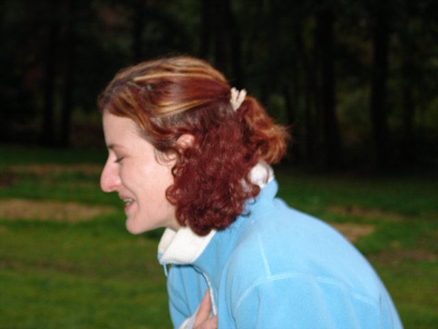 img00313.jpg