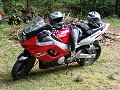 thn00196.jpg