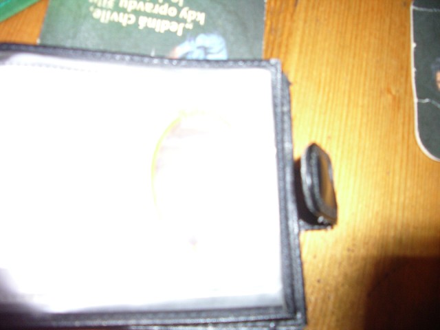 img00169.jpg