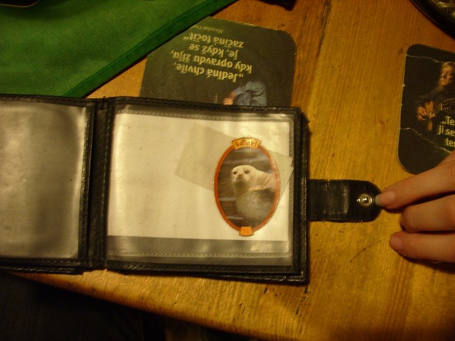 img00170.jpg
