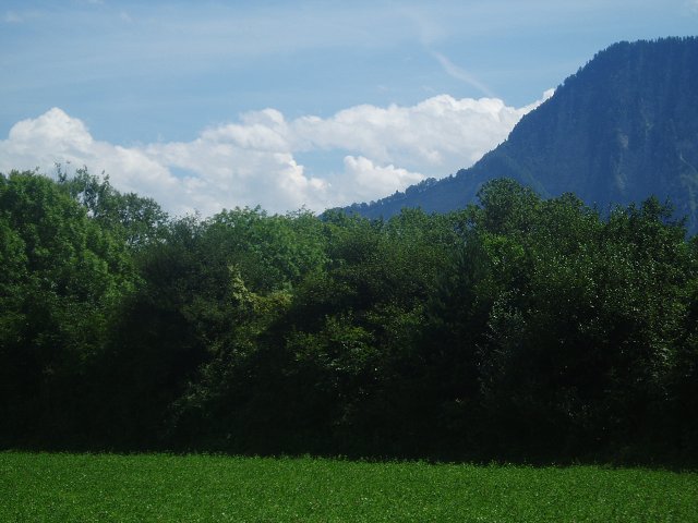 img00040.jpg