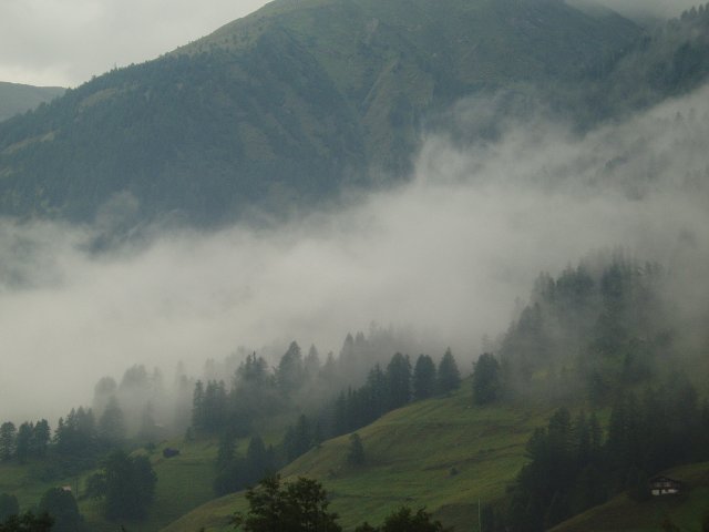 img00092.jpg