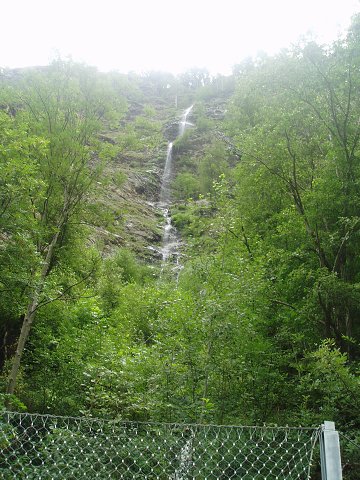 img00117.jpg