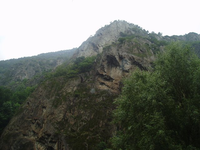 img00131.jpg