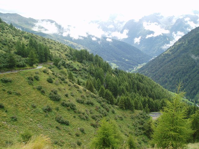 img00215.jpg