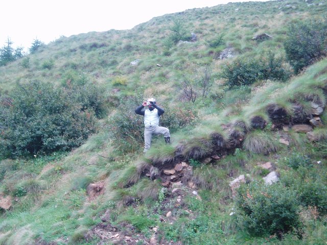 img00216.jpg