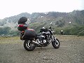 thn00218.jpg