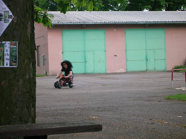 img00029.jpg
