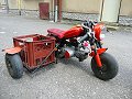 thn00130.jpg