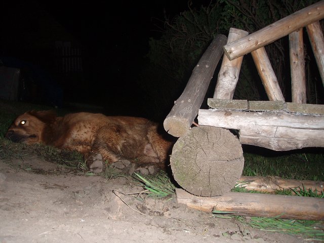 img00006.jpg