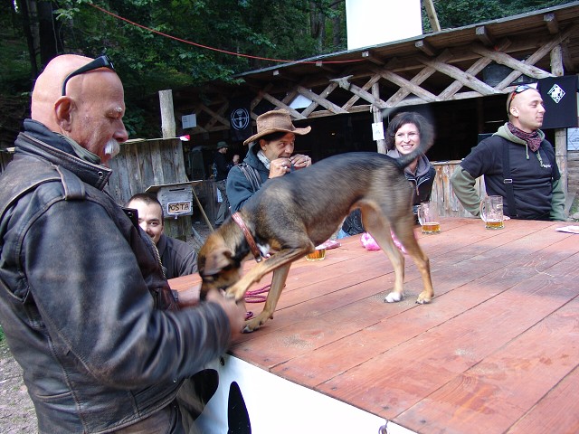 img00062.jpg