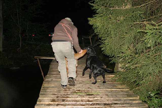 img00112.jpg