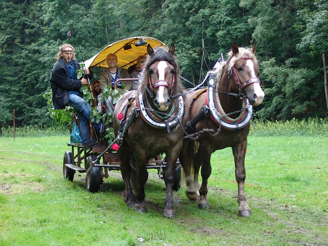 img00302.jpg