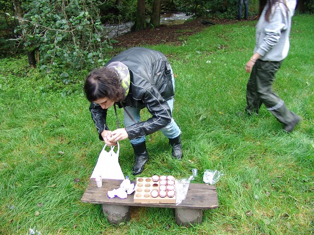 img00339.jpg