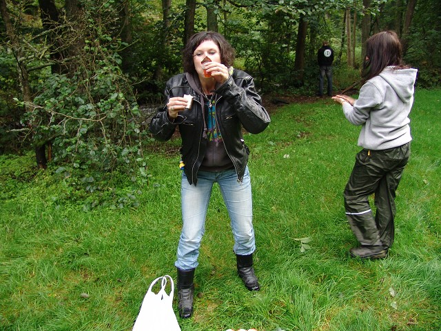 img00341.jpg