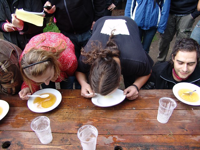 img00381.jpg