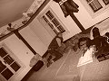 thn00025.jpg