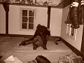 thn00029.jpg