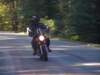 dsc08473_small.jpg