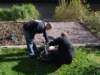 dsc08497_small.jpg