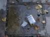 dsc08507_small.jpg