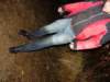dsc08588_small.jpg