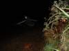 dsc08589_small.jpg