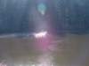 dsc08677_small.jpg