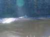 dsc08679_small.jpg