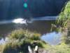 dsc08684_small.jpg