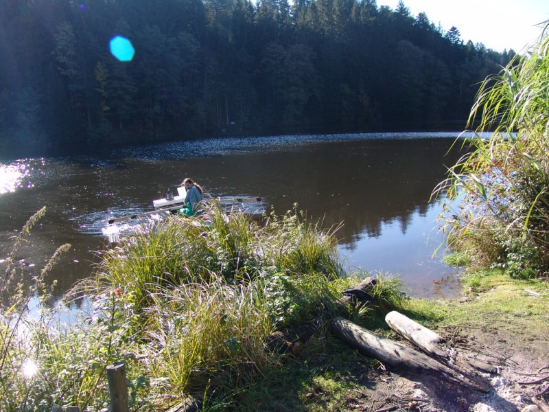 dsc08685.jpg