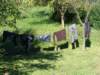 dsc08686_small.jpg