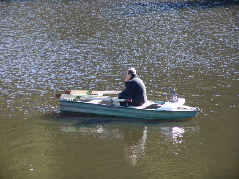 dsc08717.jpg