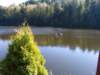 dsc08718_small.jpg