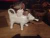photo100_small.jpg