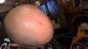 photo70_small.jpg