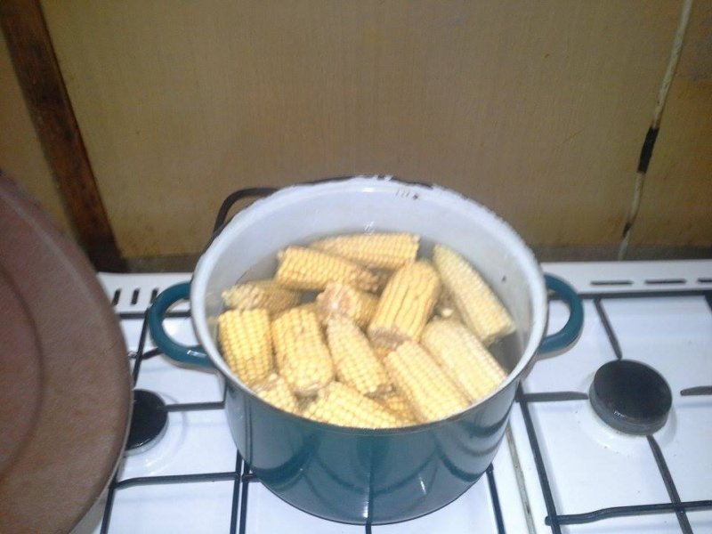 photo26.jpg